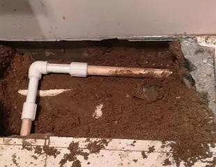 兴安测漏水哪家好