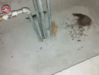 兴安卫生间测漏水价格明细