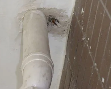 兴安漏水检测哪家好